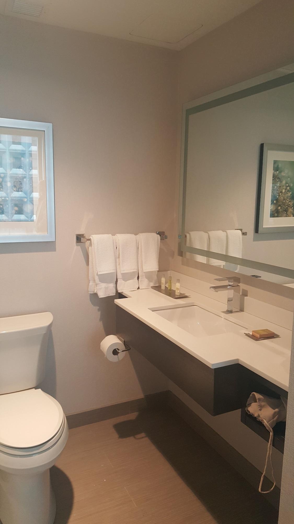 Hilton Garden Nyc Financial Center/manhattan Downtown 3* Nueva York